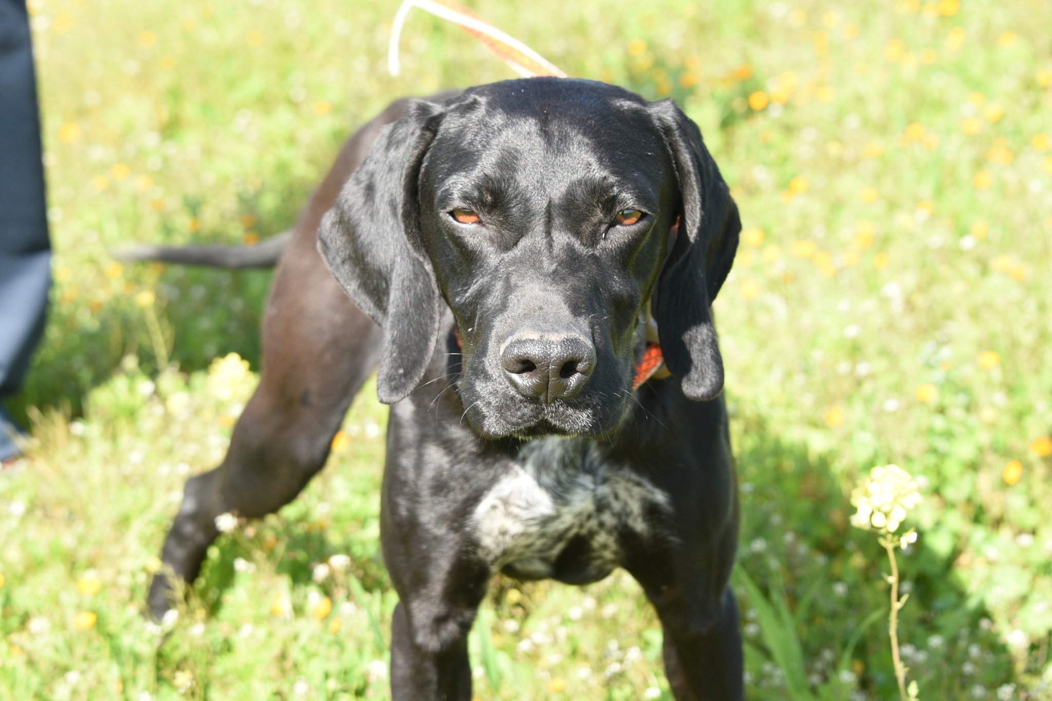 666744436_957635783446266_6190790838660643568_n