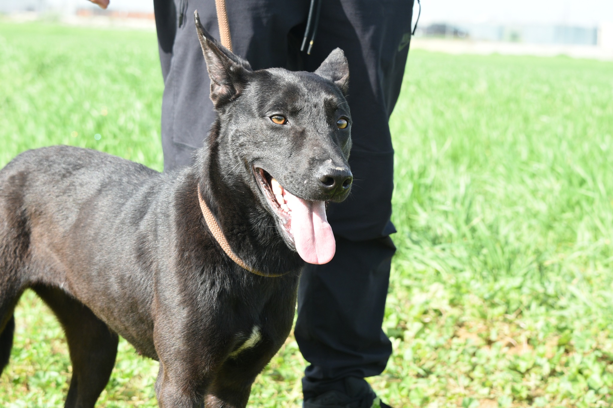 666778777_956155290260982_749926725446943186_n-1