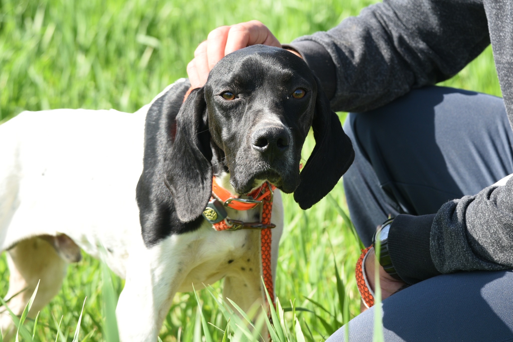 667176714_956884773521367_1296375568911790221_n-1