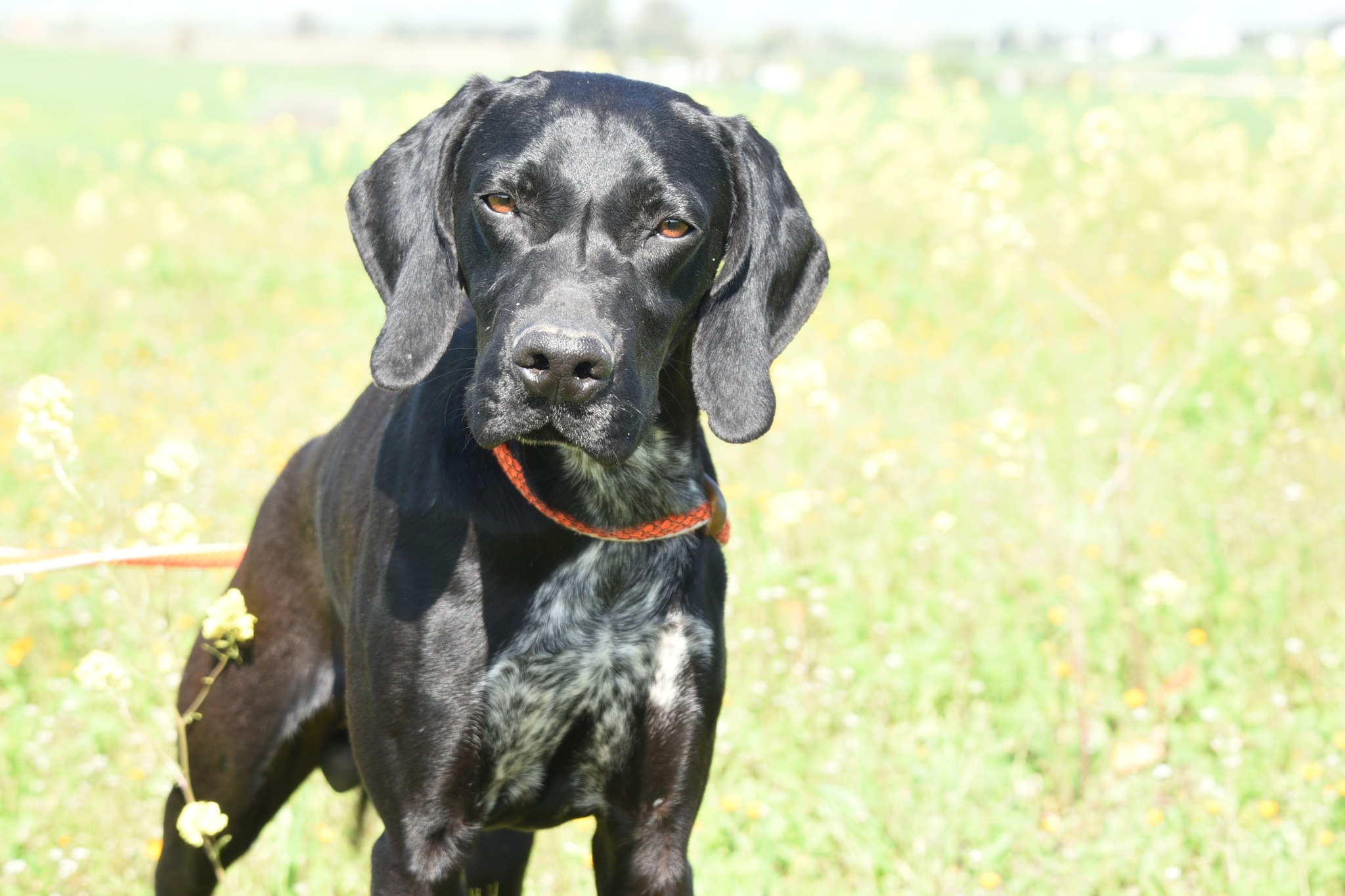 667522841_957636683446176_8963759052860969662_n