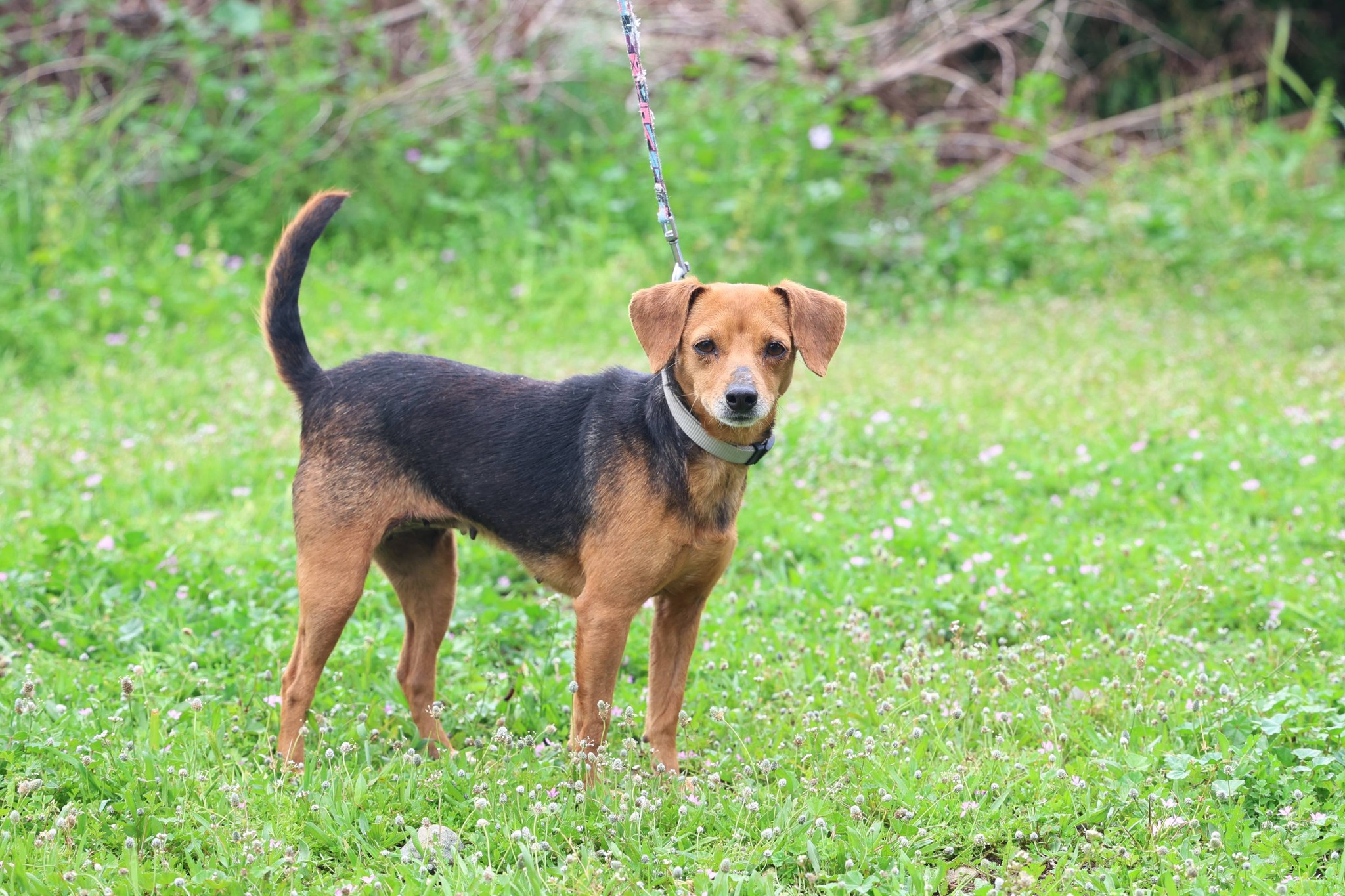 667572438_1445249294314236_4572923459239328273_n