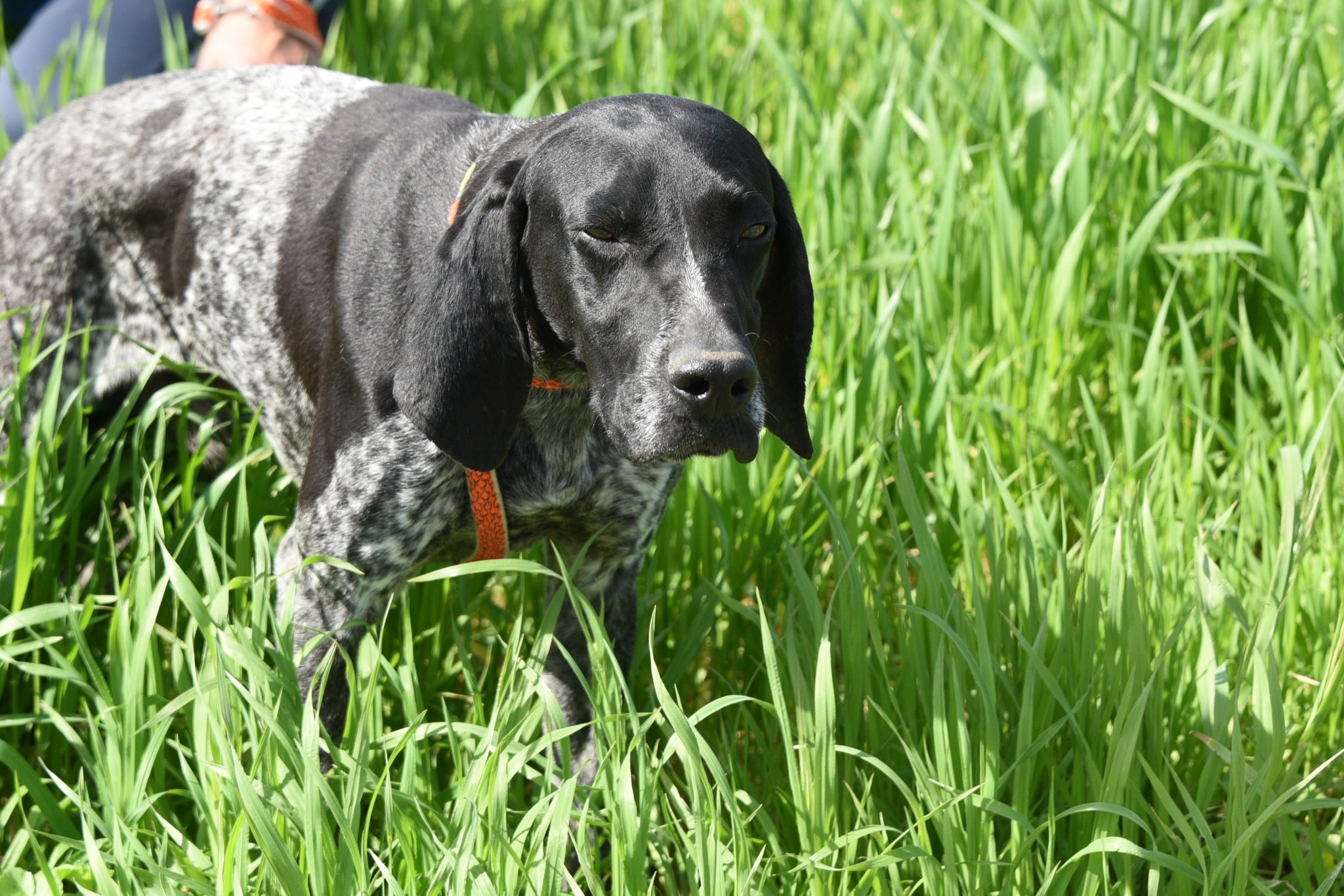 667589666_958348916708286_1091925160508212649_n