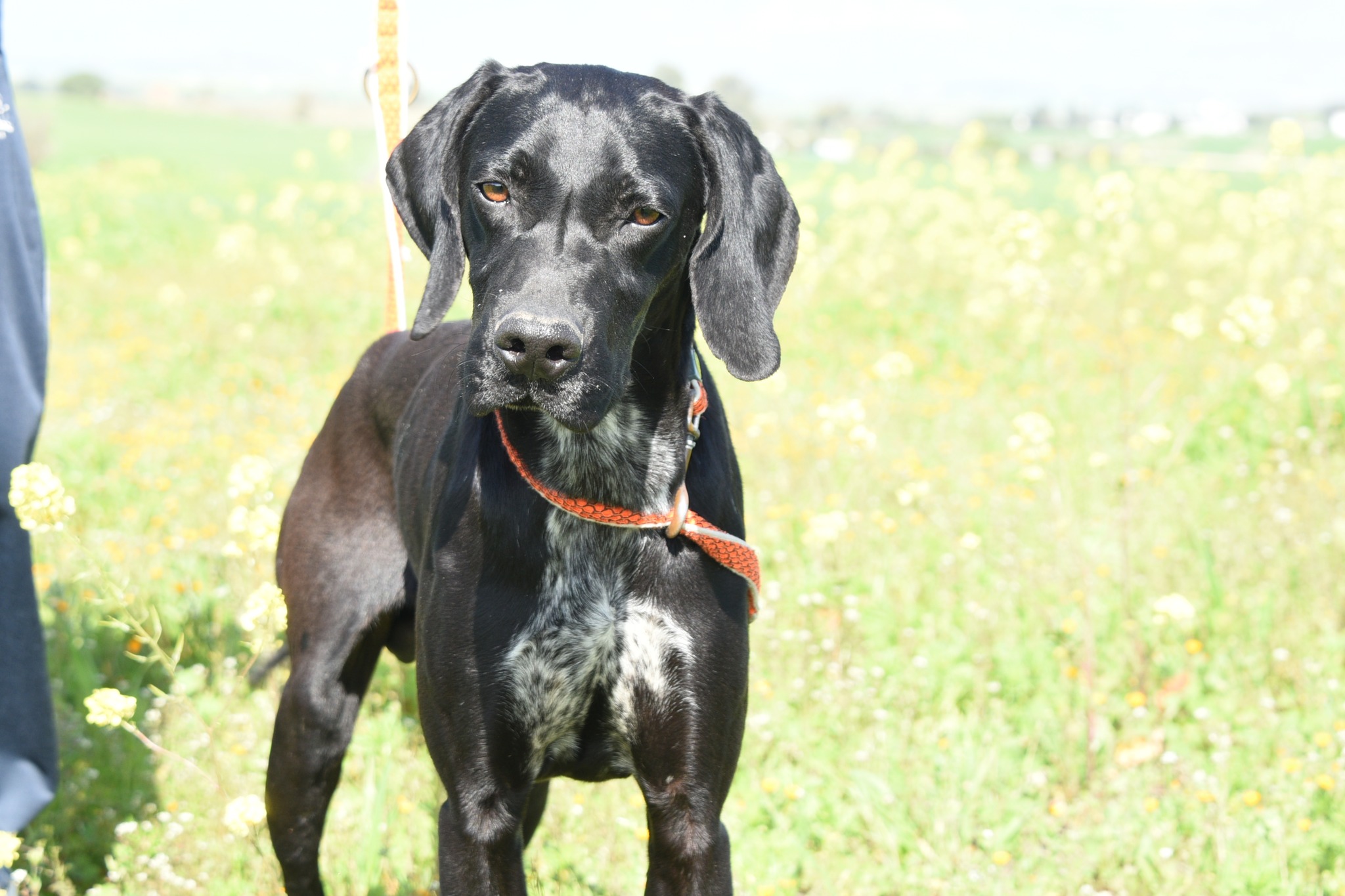 667767393_957635523446292_3959905178387466202_n-1