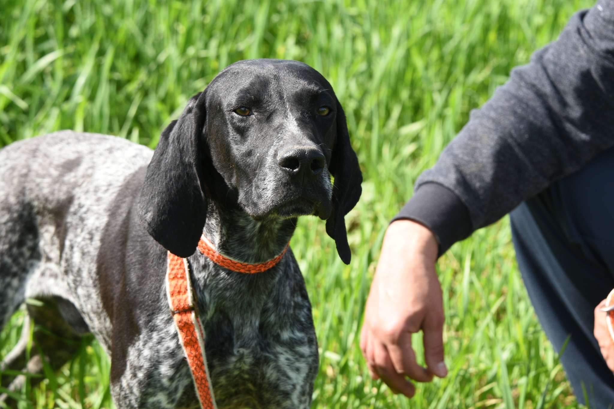 668137979_958348216708356_5246845070298080566_n-1