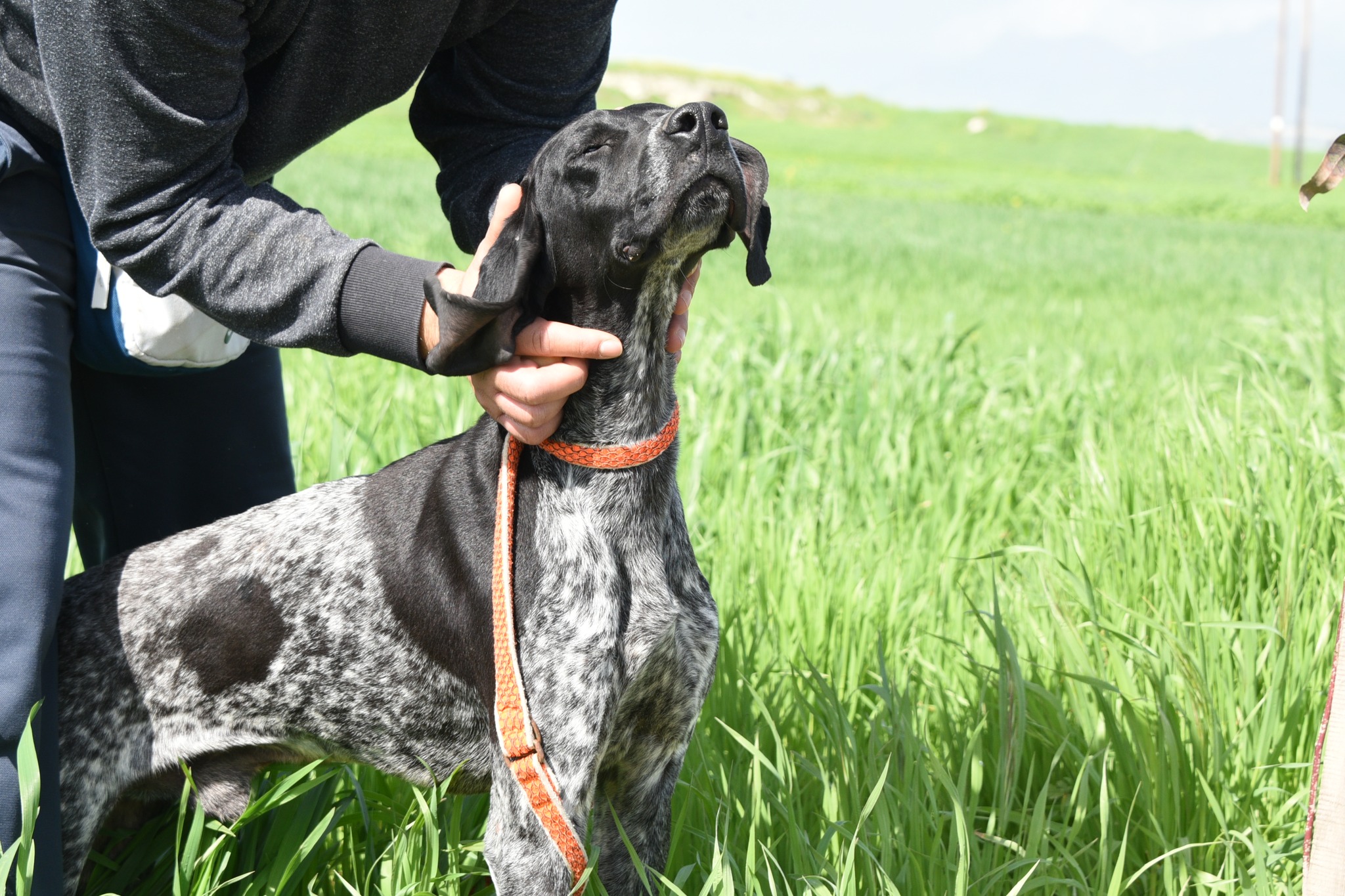 668510115_958348373375007_6949486298717737143_n