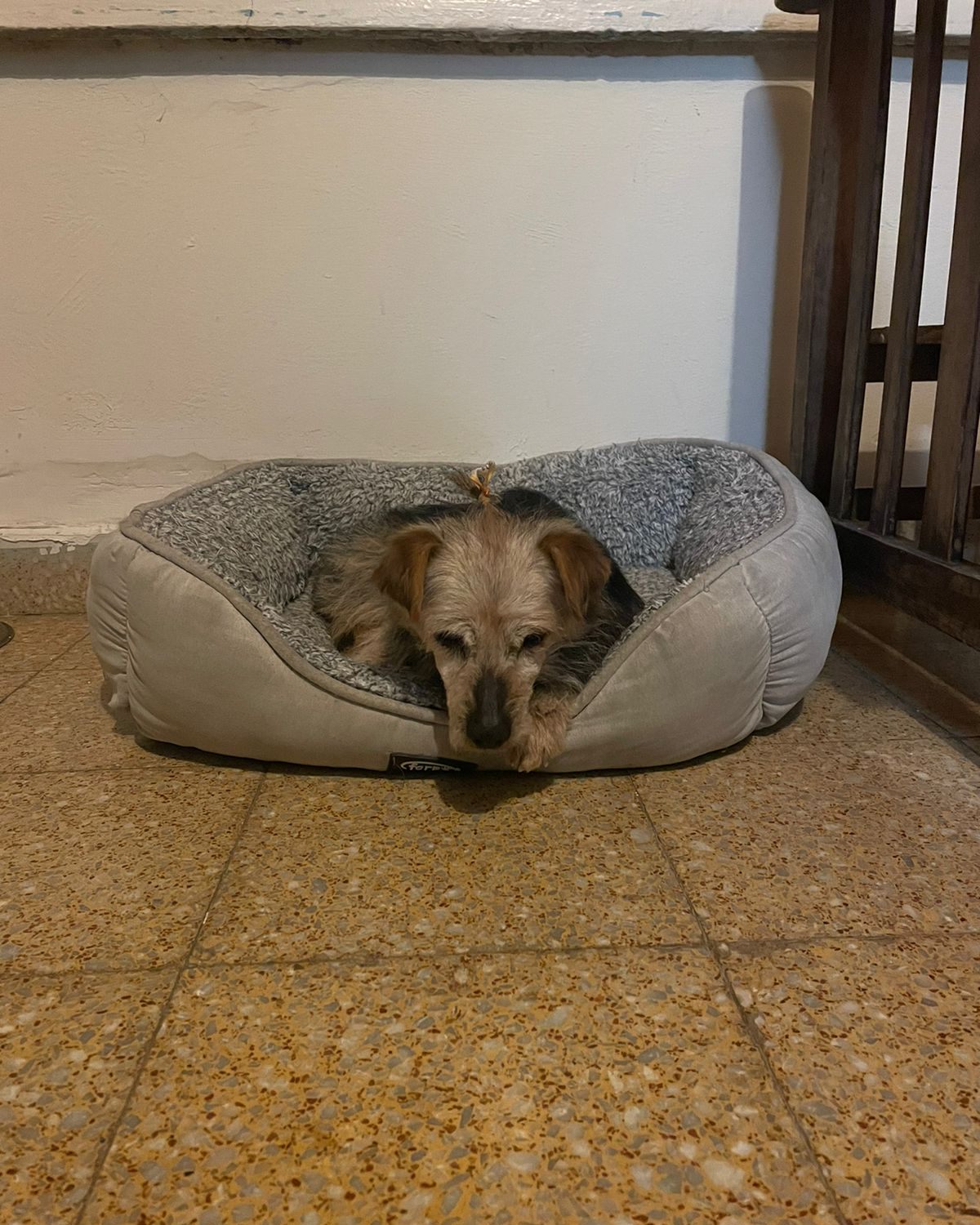 668953549_959888266554351_3296079831393426789_n