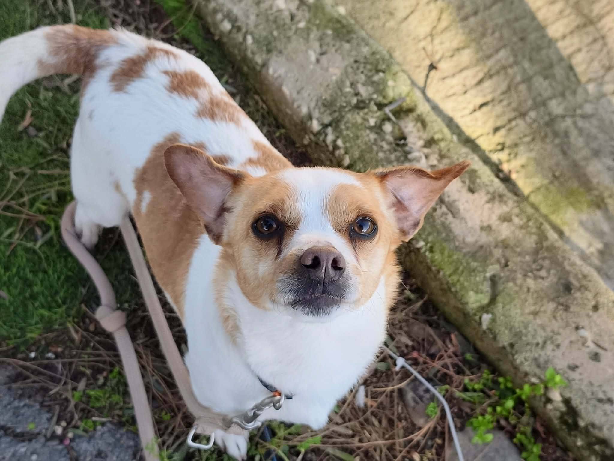 669708875_1451332733705892_8754048706290689033_n