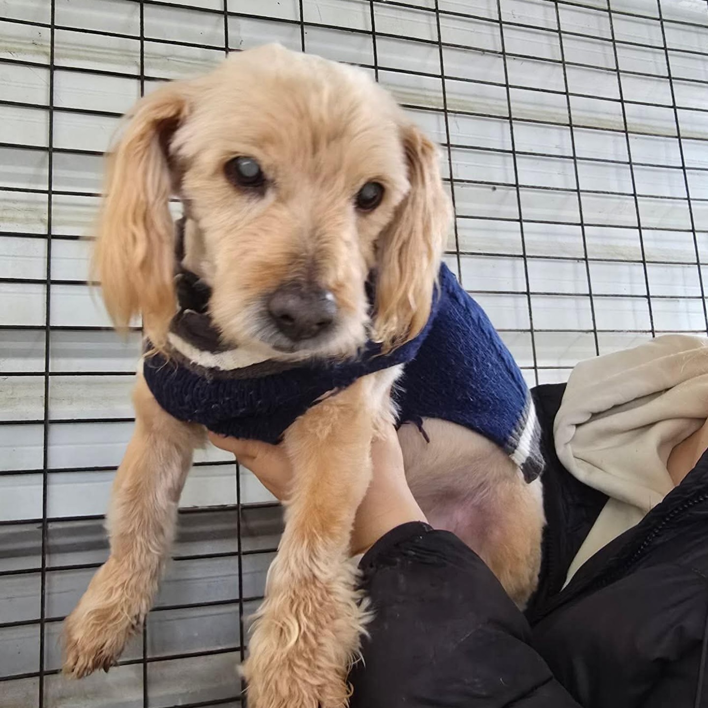 670166483_18329816797301739_4773805274556632199_n