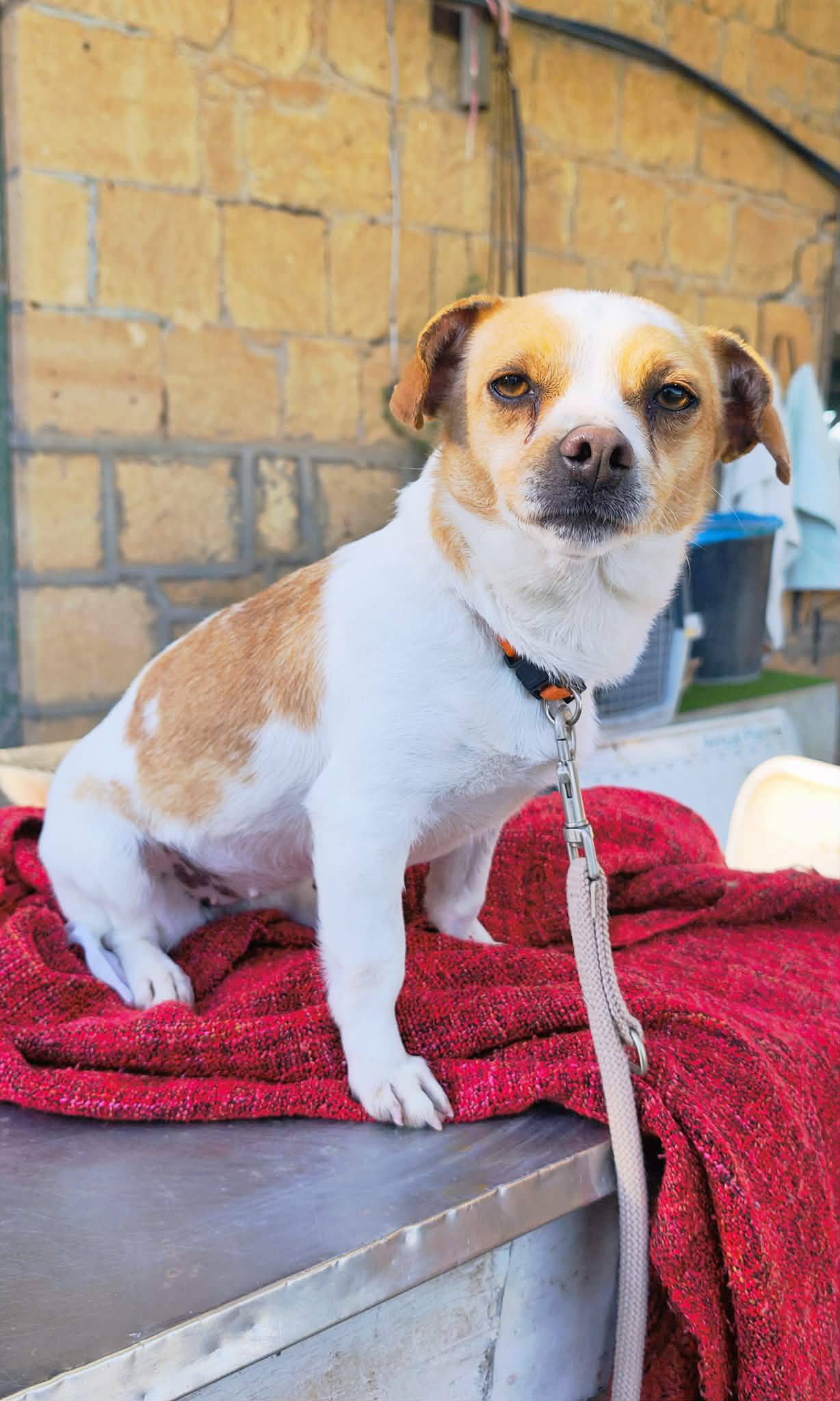 670265006_1451332903705875_5793353215720519071_n