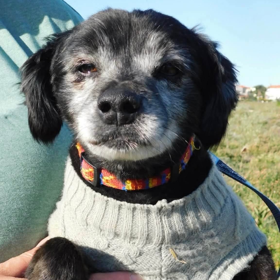 670292583_18329816815301739_3156801544741074481_n