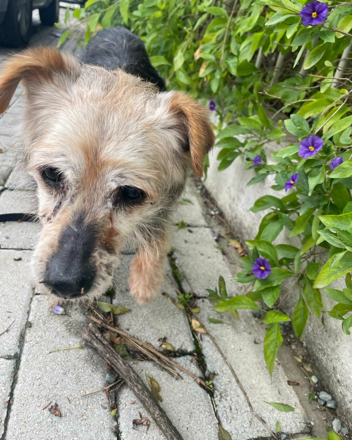 670481269_959887986554379_7226149884800699075_n