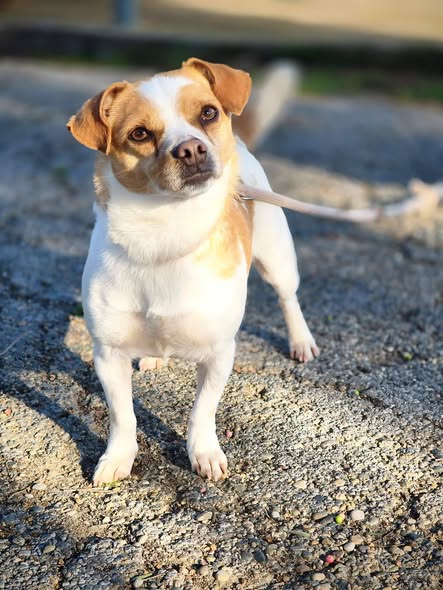 670484030_1451332687039230_3678809536861230639_n