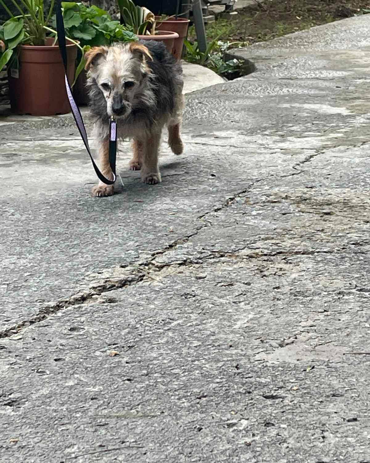 670516323_959887639887747_2897422784265508488_n