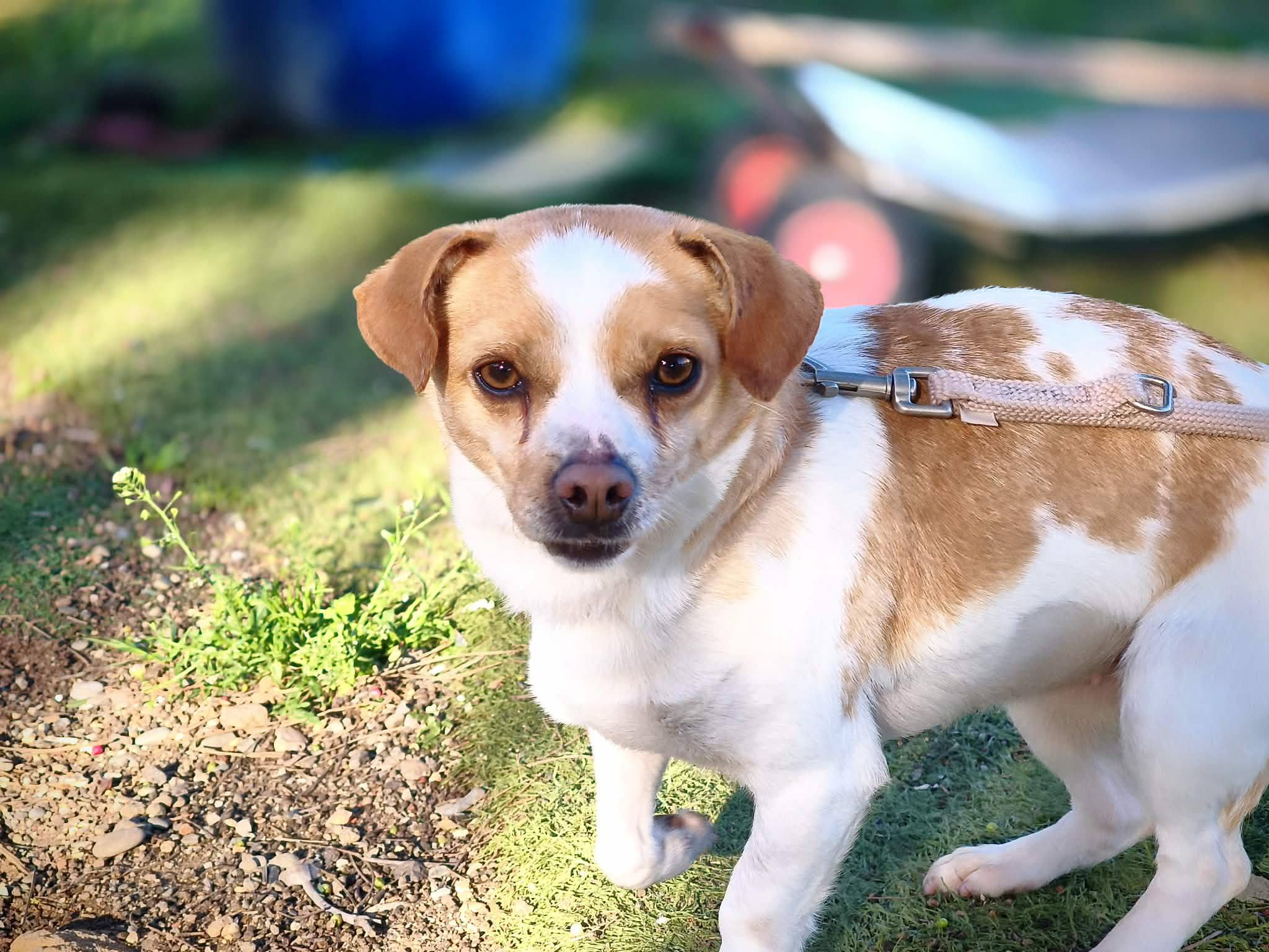 670518036_1451332770372555_4818121850176415703_n