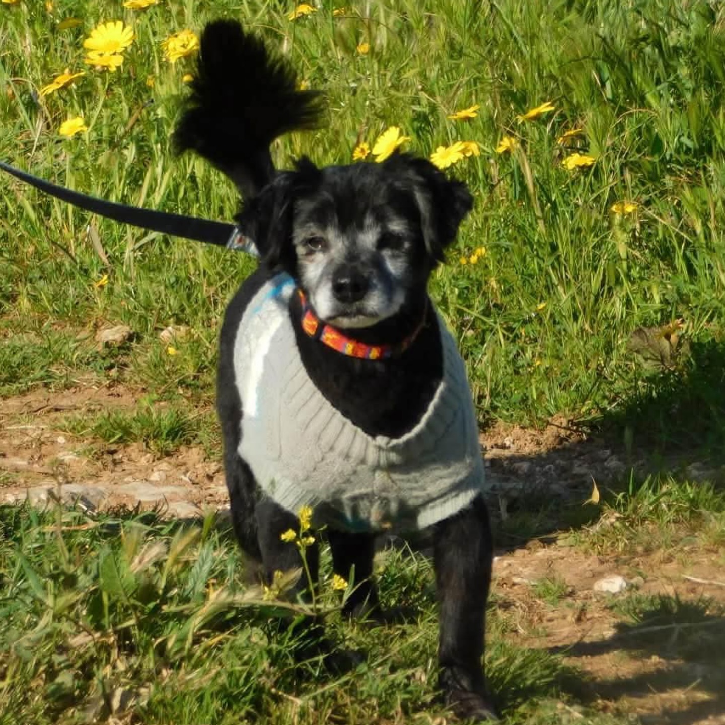 670668179_18329816827301739_8143192369785023130_n