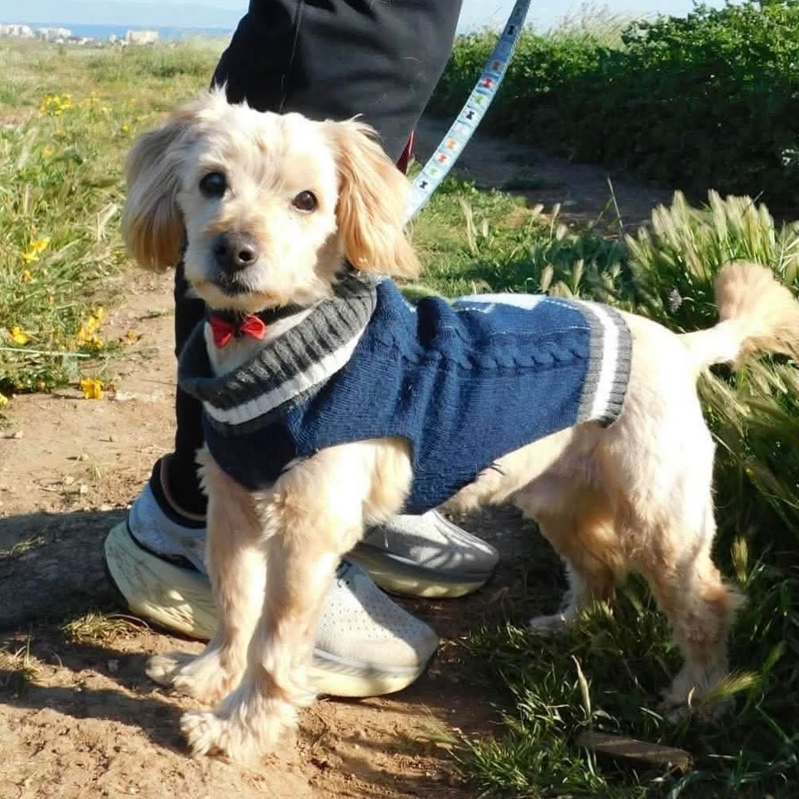 670668181_18329816836301739_6999588325406870176_n