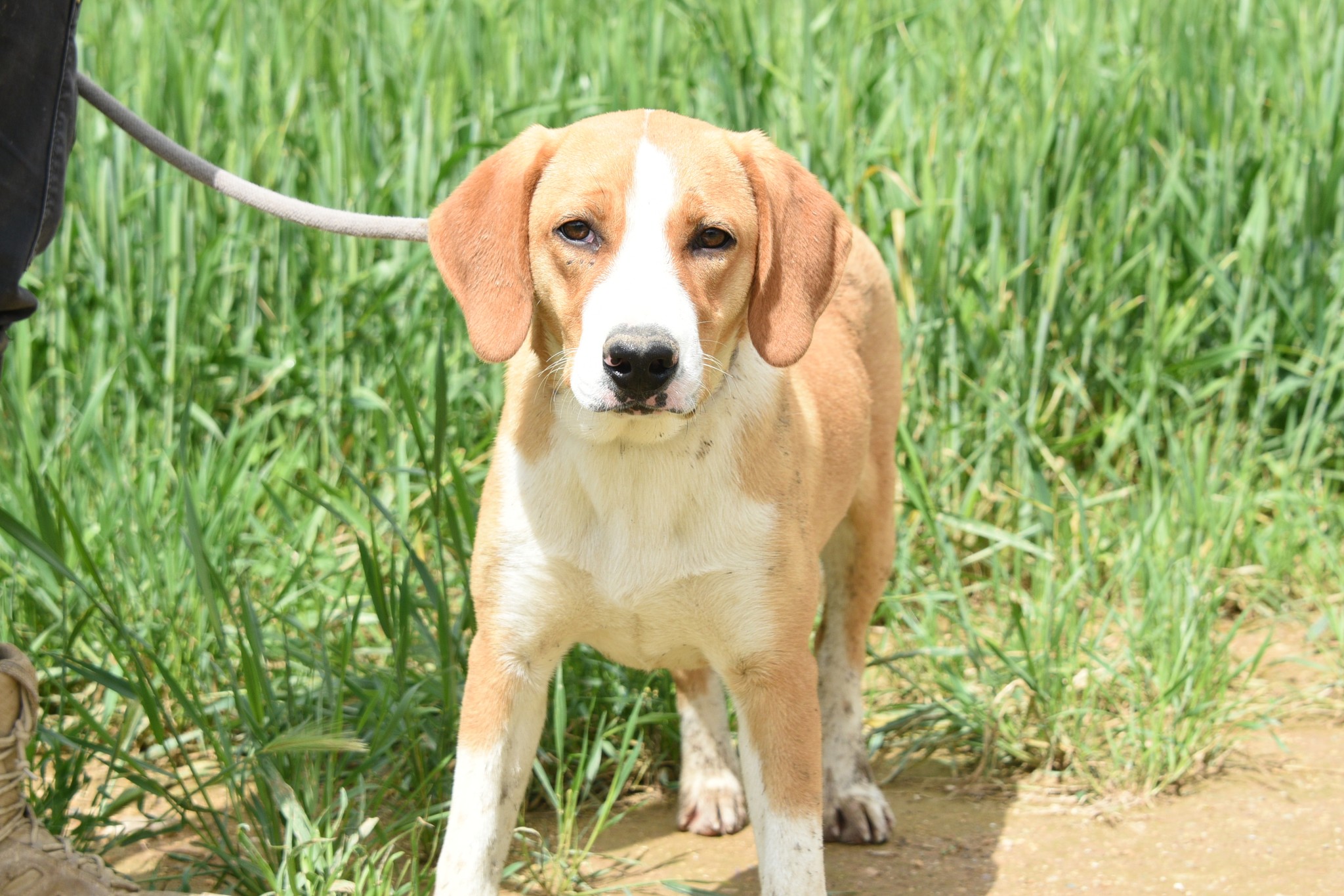 671496850_963132416229936_2443425713039889796_n