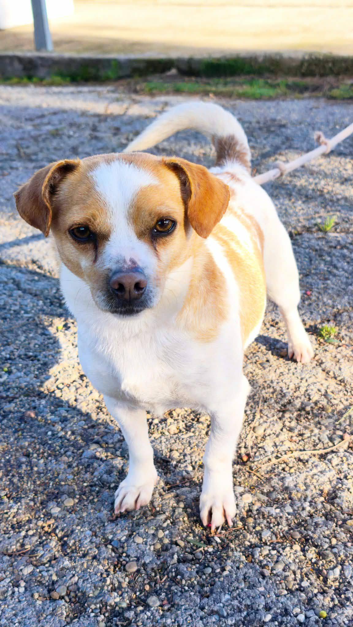 671806443_1451332980372534_4901301692729263056_n