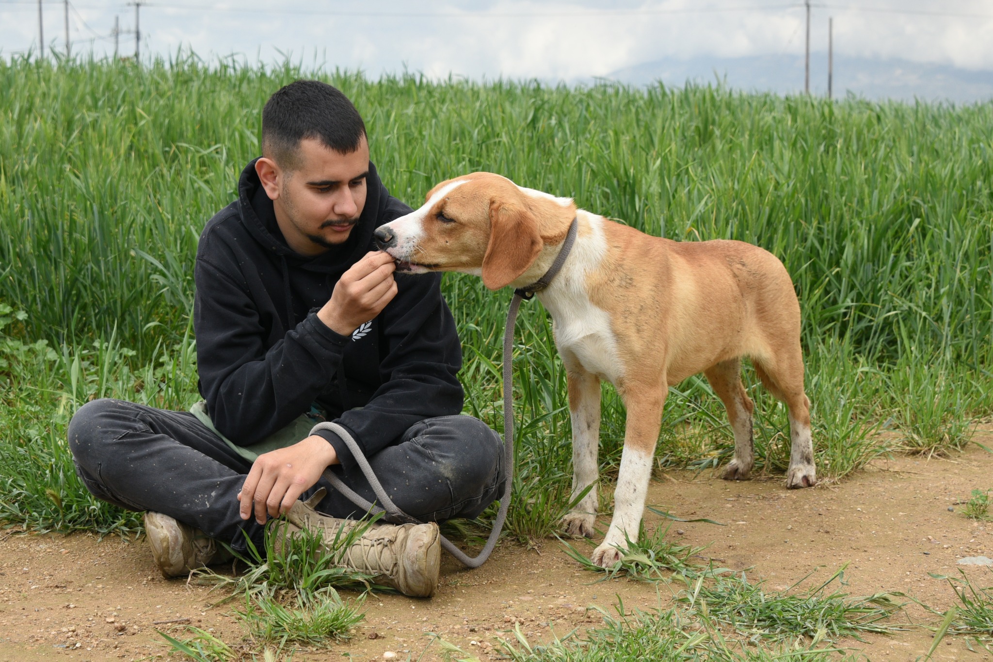 672160994_963131316230046_4619731329293587327_n