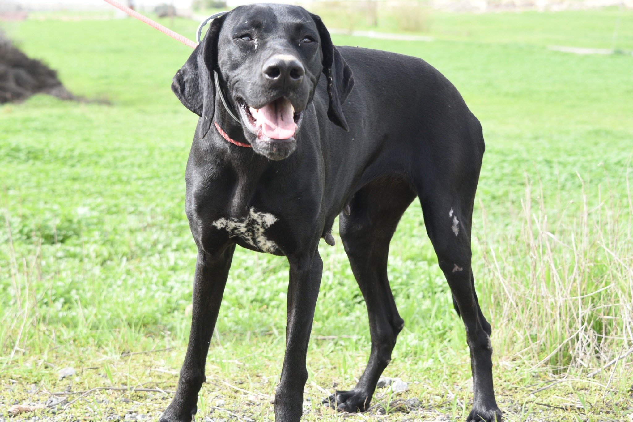 672345262_965230819353429_5936951828018378430_n