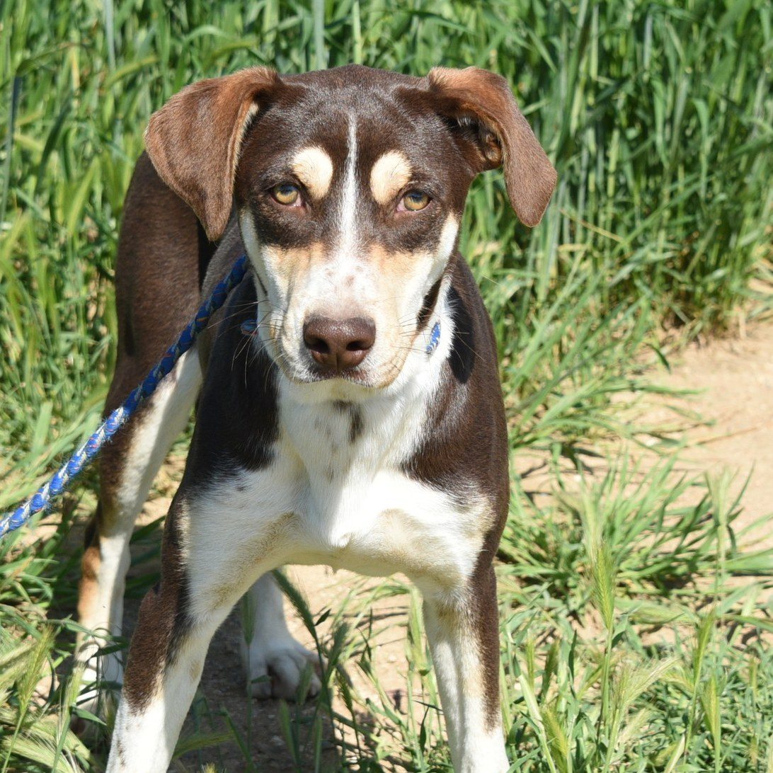 672347117_964426556100522_4545944201072881107_n