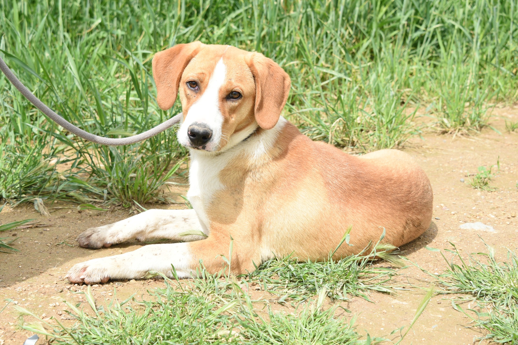 672383324_963130332896811_2348880412373535755_n