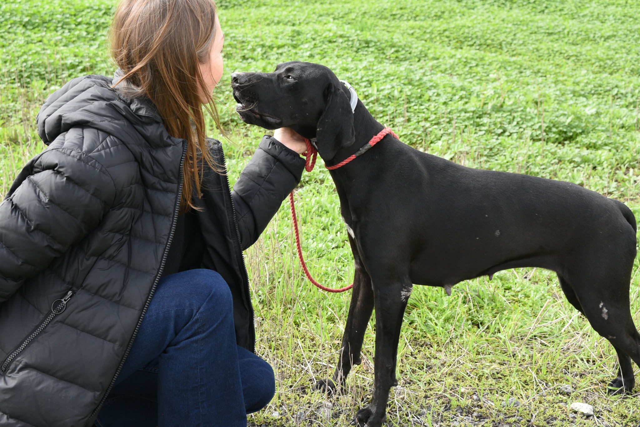 672433572_965231249353386_4268905110005437607_n