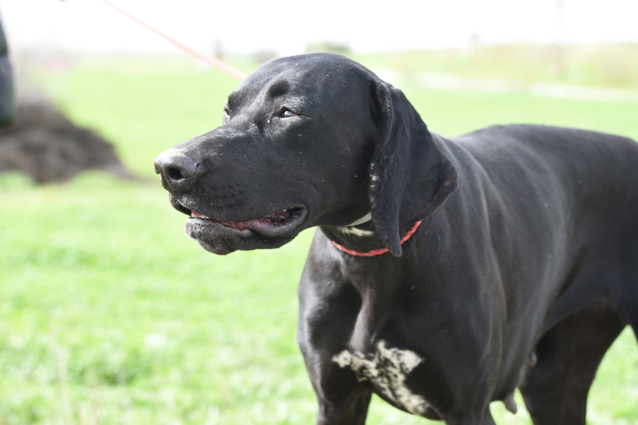 672606451_965231152686729_3461635815560419037_n