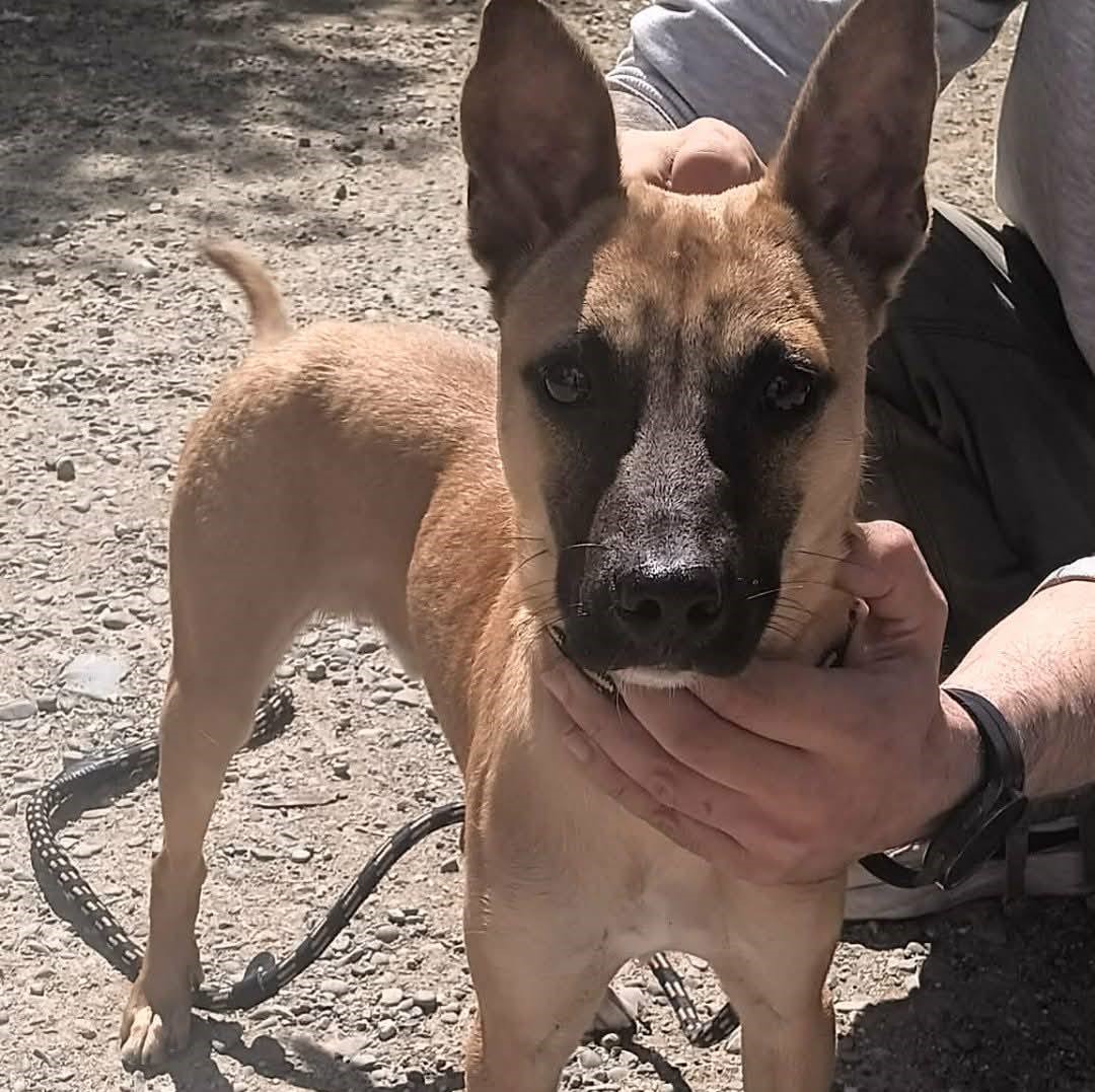 674242527_967514812458363_7860874191217706702_n-1