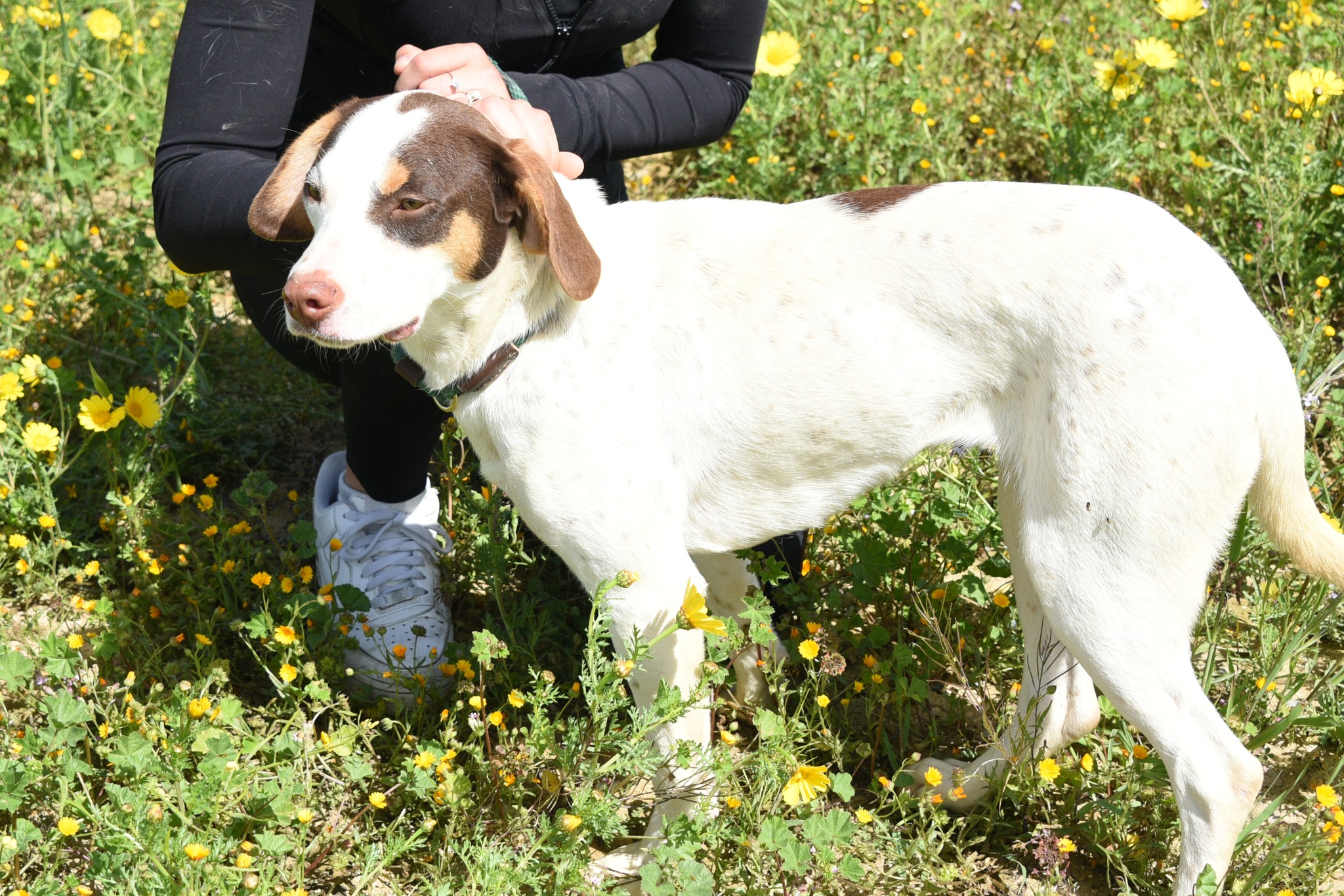 677954946_967703515772826_7853104027228767869_n