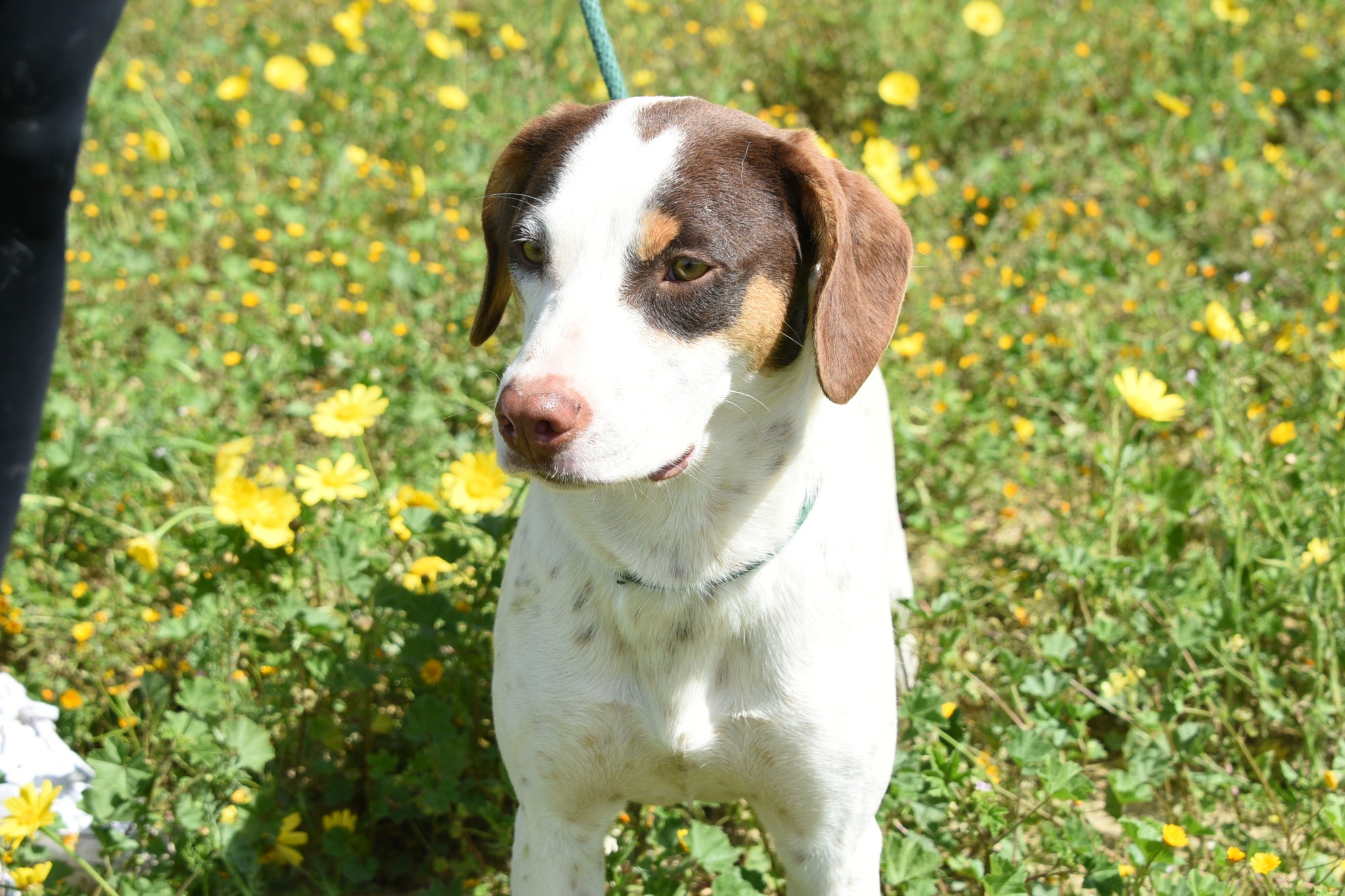 678041252_967703849106126_65575958333246123_n