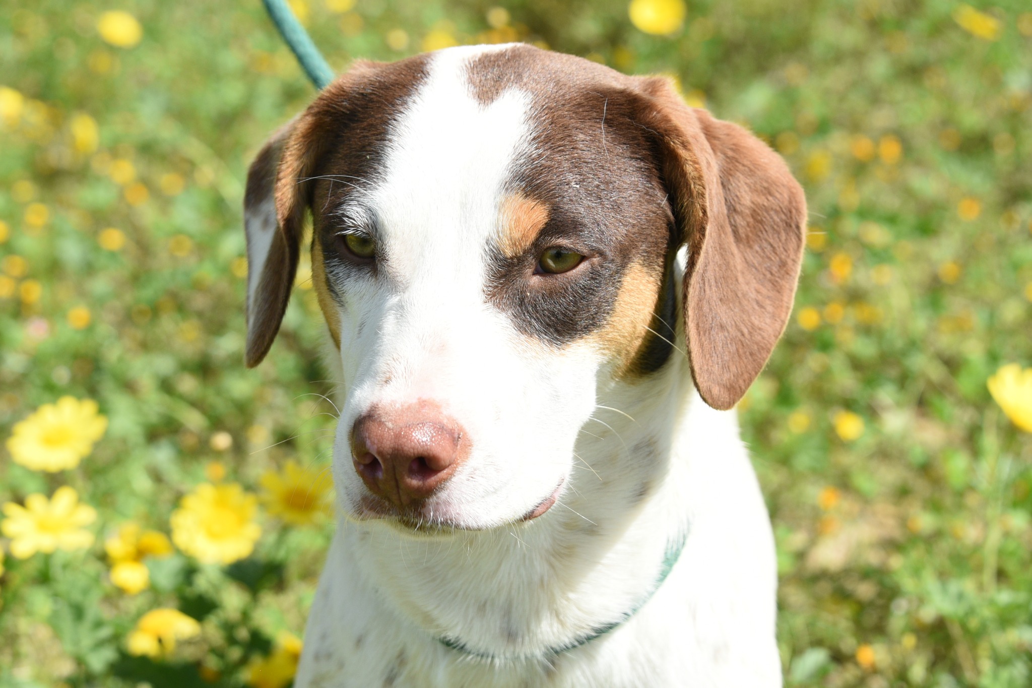 678112392_967703302439514_2592915300393958154_n