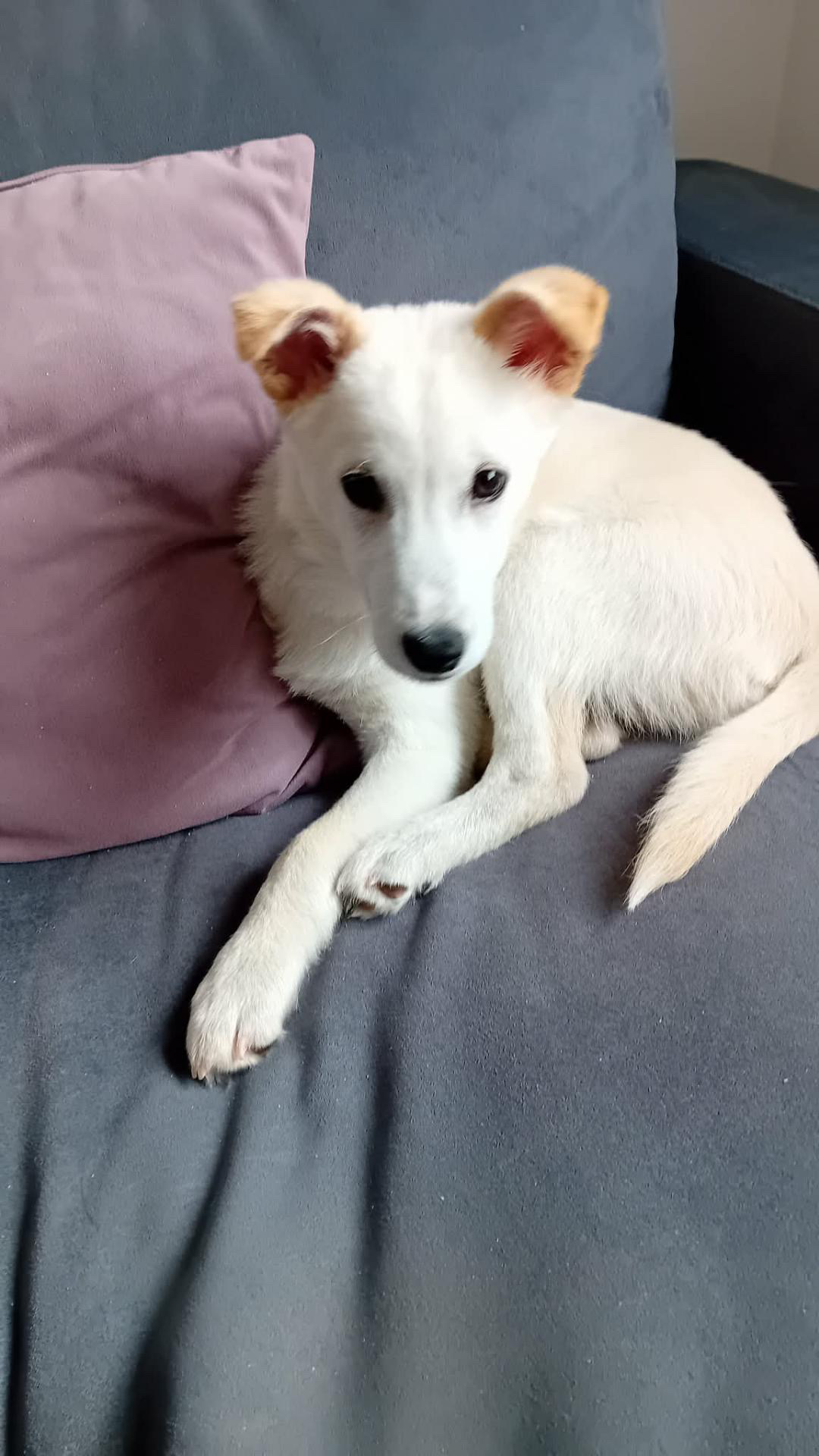 6D76ED82-204D-4E96-A4F4-AB319DA3181B