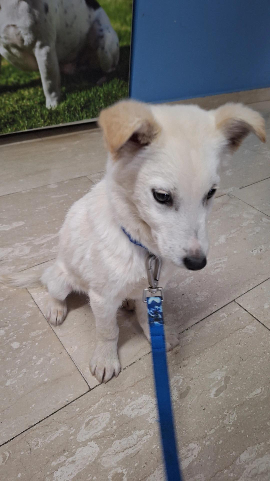 7486D49B-99AA-4A08-9C57-56302B23E585