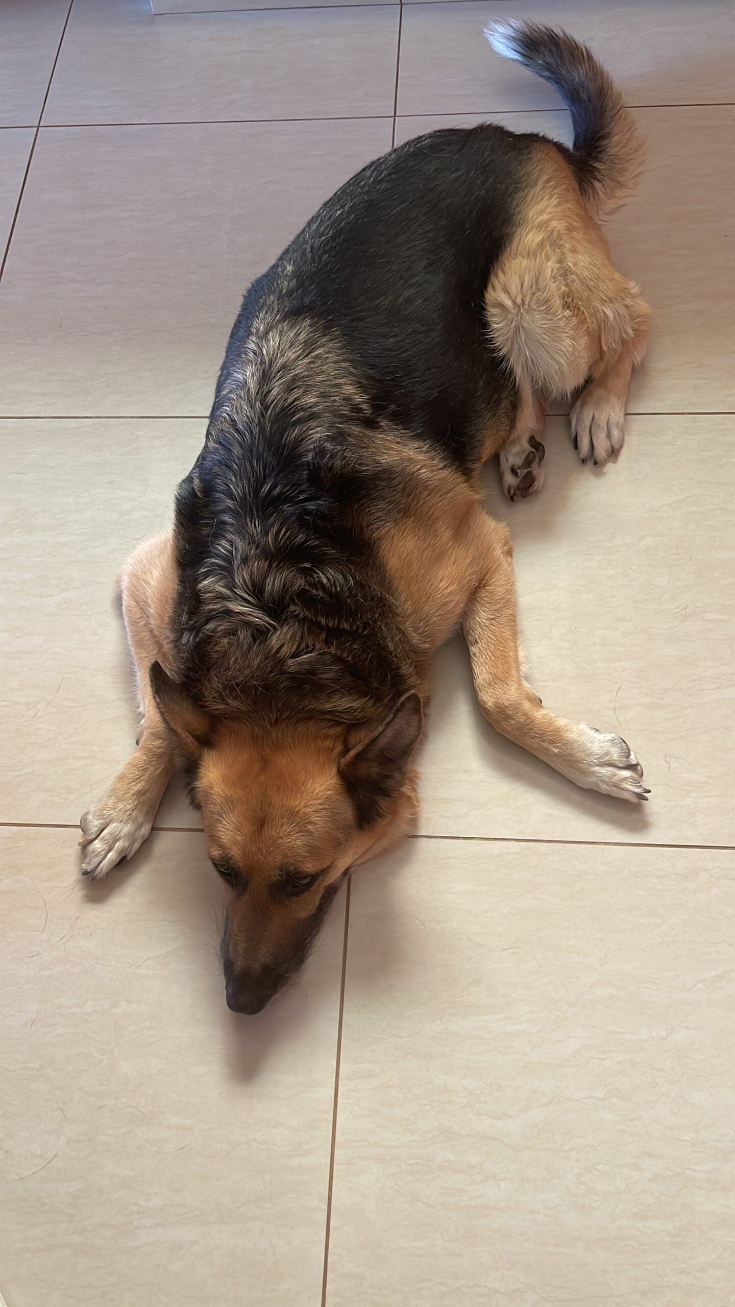 C0BCBD41-10B4-4860-9C6C-25510A32D422