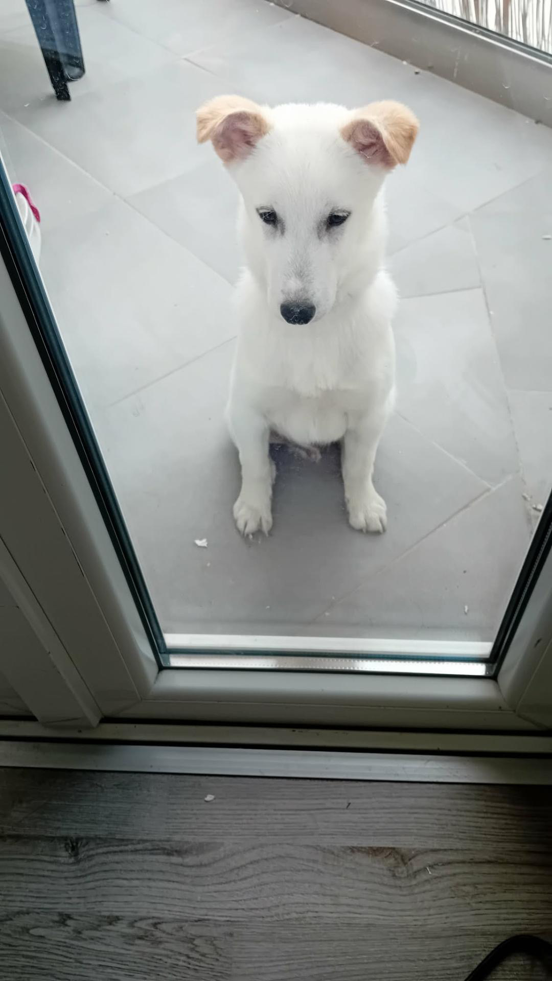 E385F308-D94C-4079-B08F-25451E0C2F94