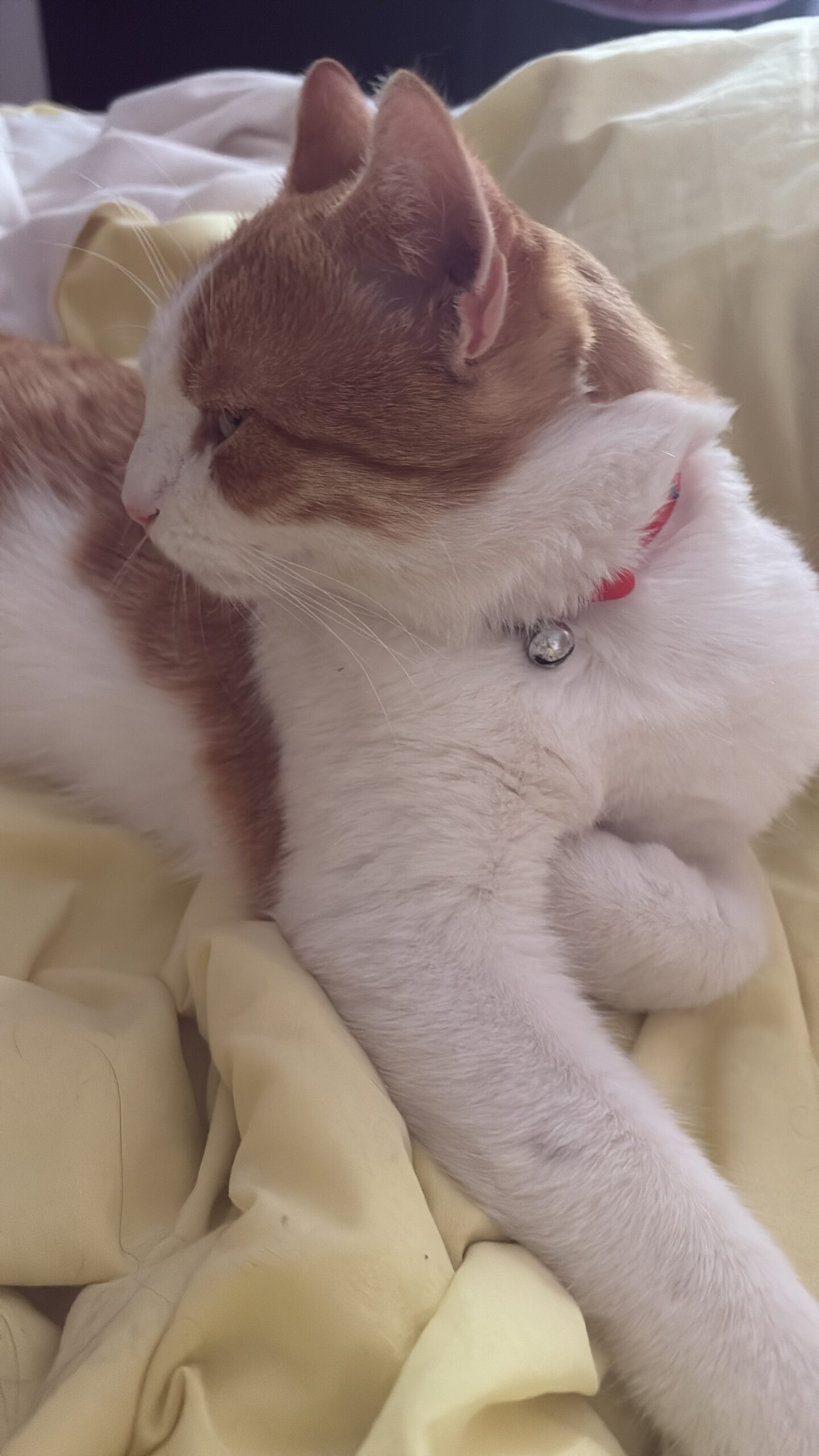 EE579D18-19D3-4831-B64F-703F26EA0343