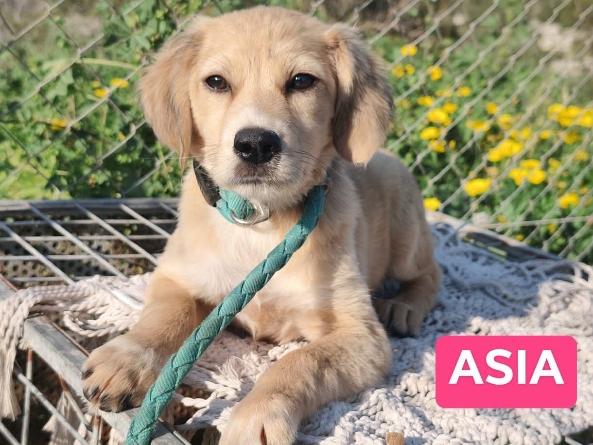 Messenger_creation_1496848442164471