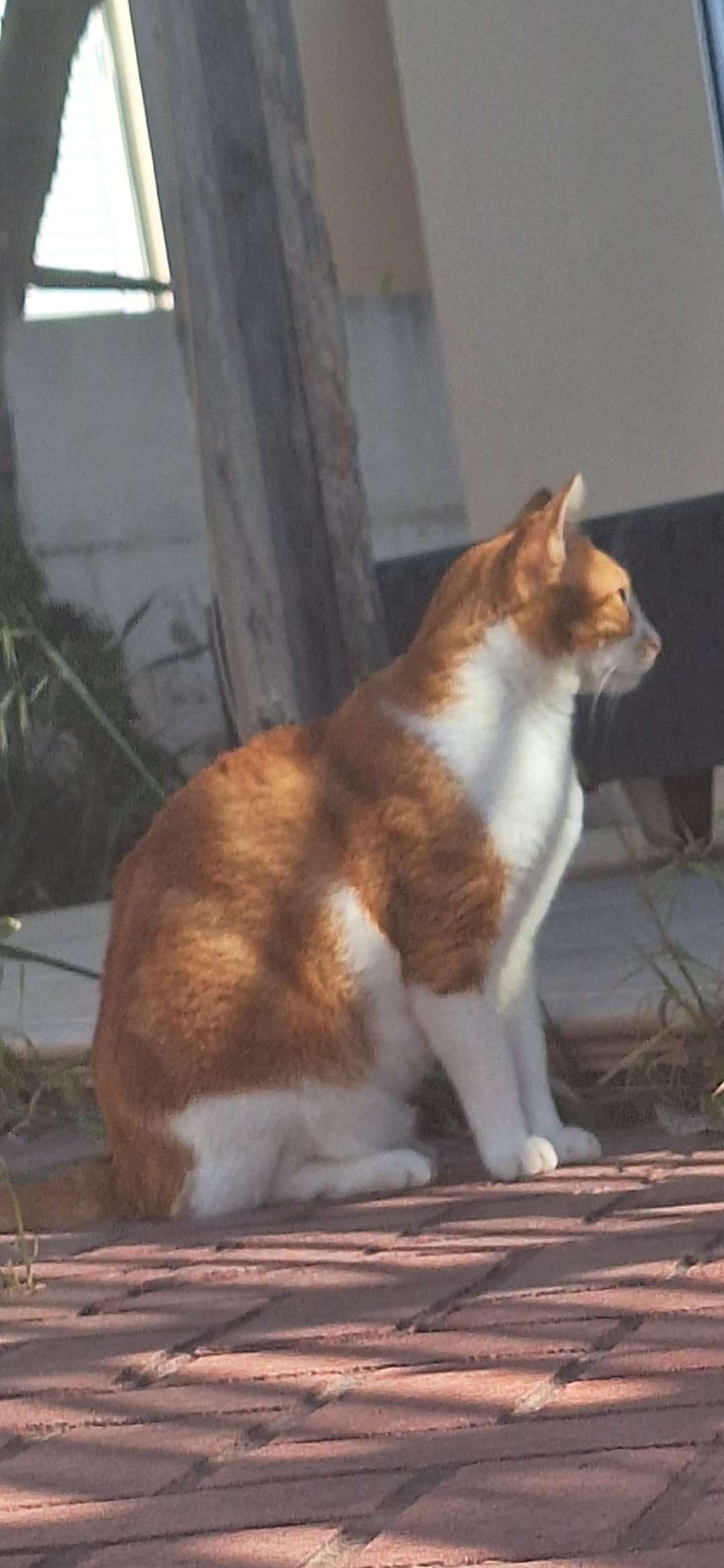 Screenshot_20260430_120508_Gallery