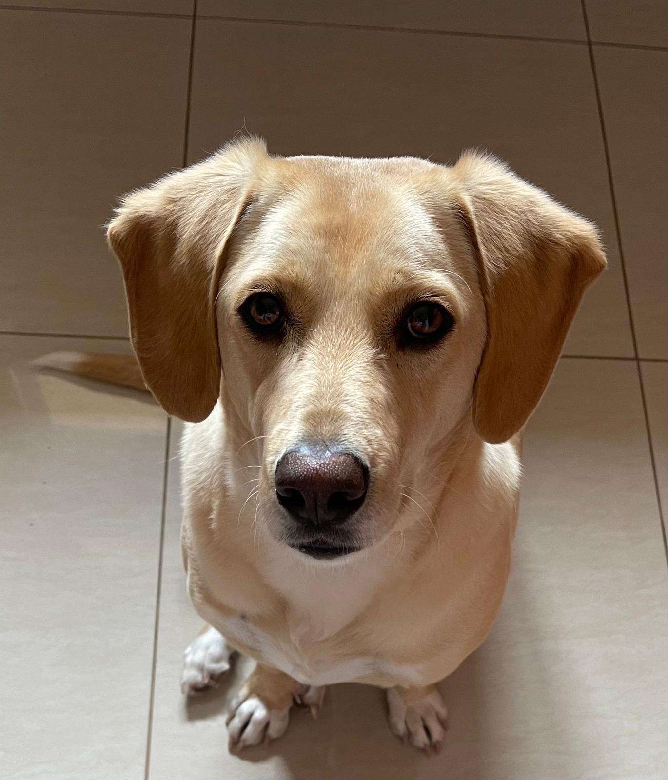 WhatsApp-Image-2025-12-17-at-14.20.36