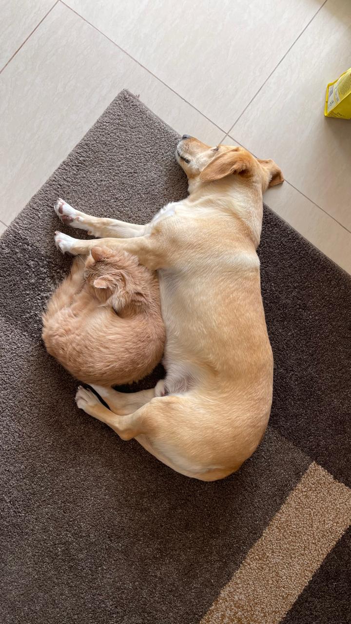 WhatsApp-Image-2025-12-17-at-15.52.49-1