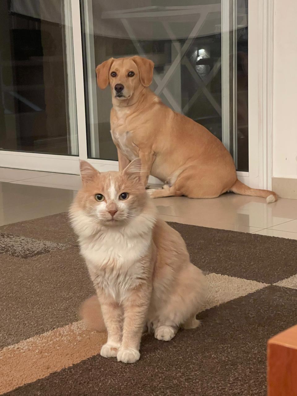 WhatsApp-Image-2025-12-17-at-15.52.49