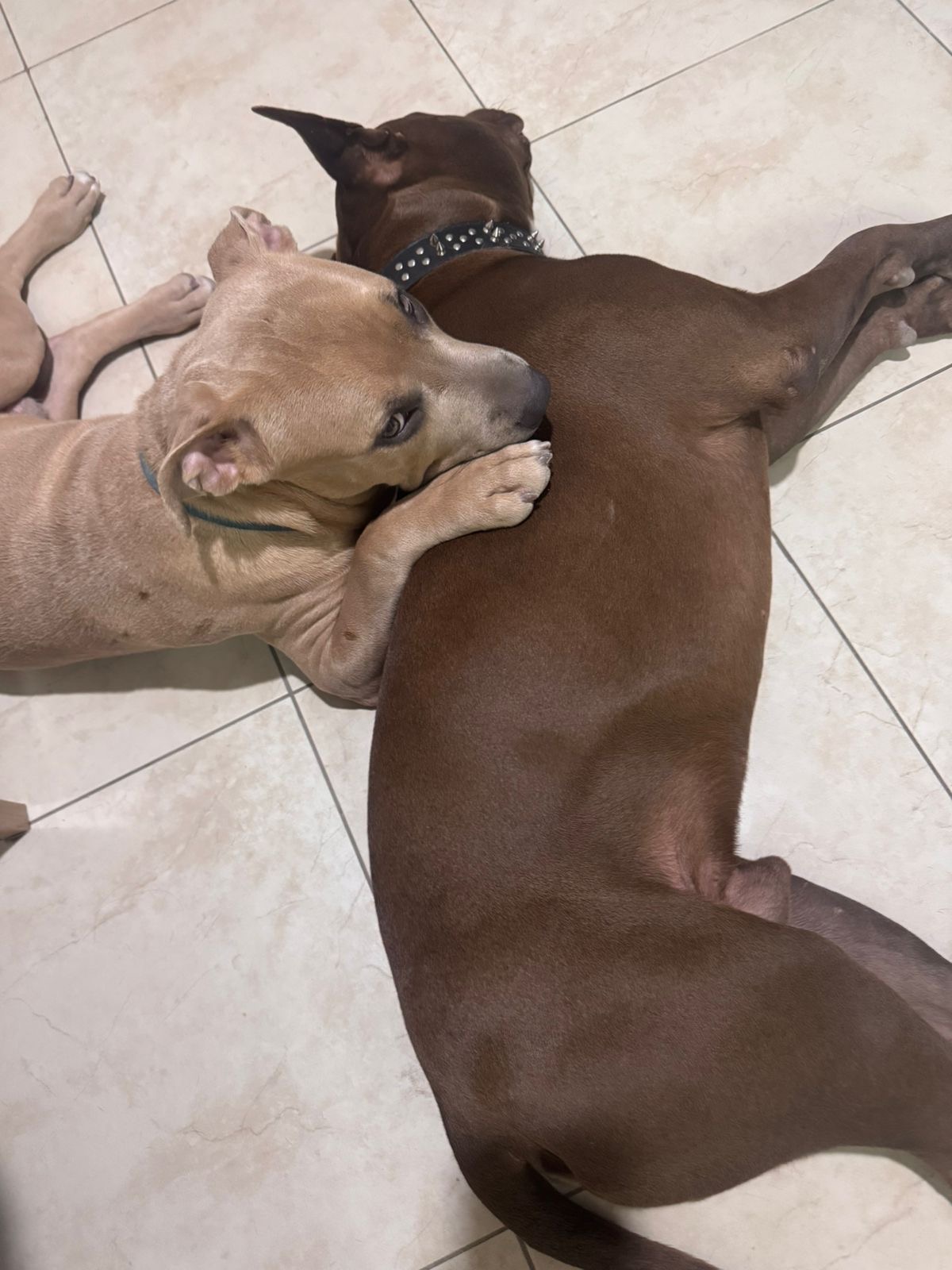 a4853c89-6476-463e-b3b5-51940089b3cc