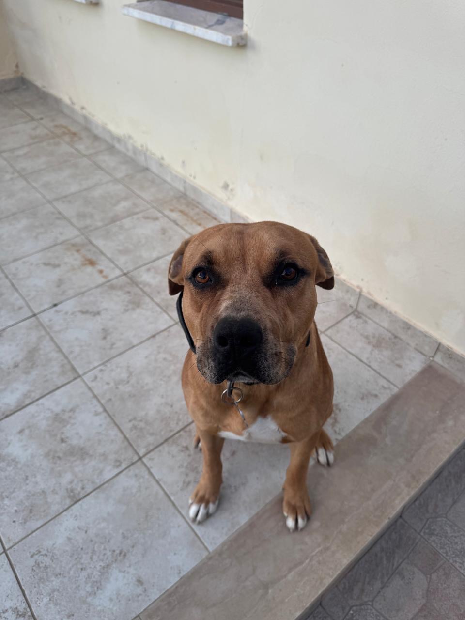 ae5f0c05-6aa2-4176-a90f-2c6693b7e727