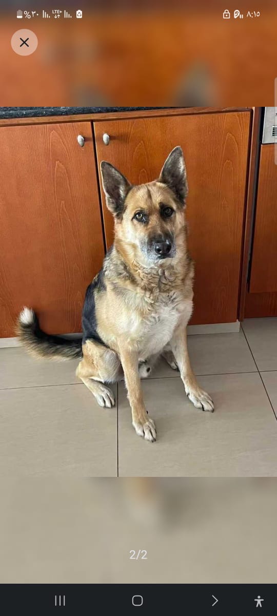 b5c3db1b-8b63-4981-8489-27fe1754e23d