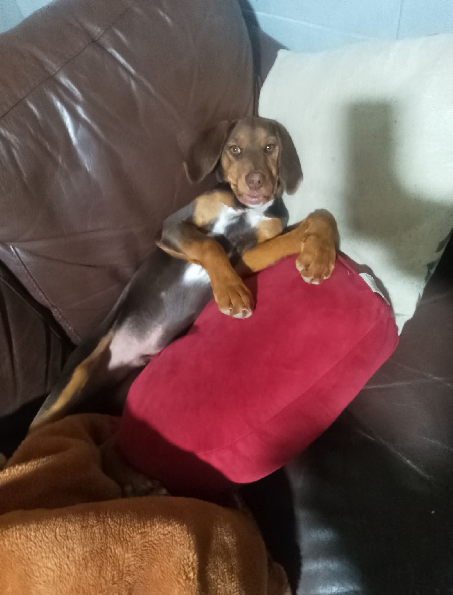 inbound5634686707497472083