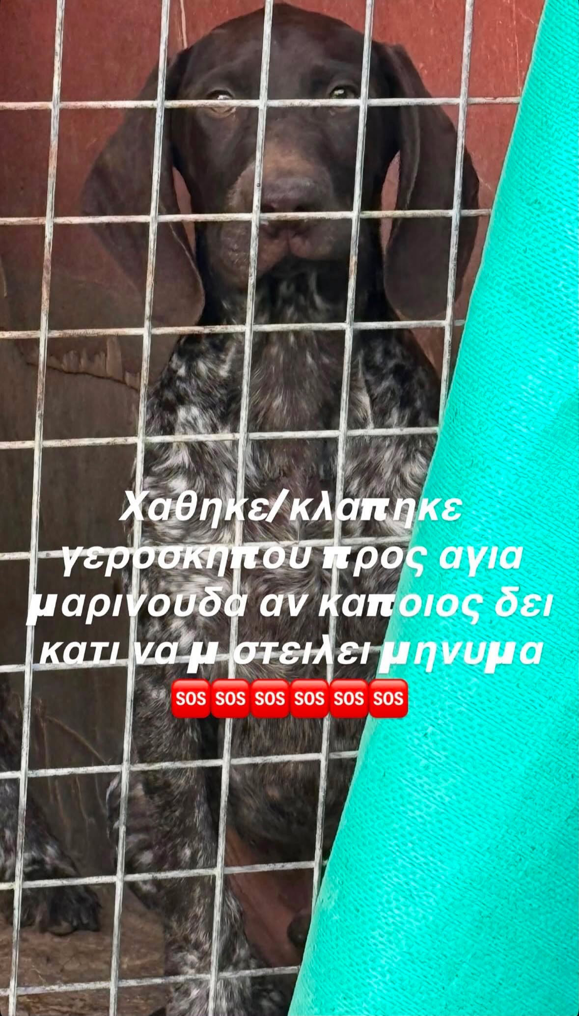 43E3E9DF-3EDC-4FC4-ADA9-C0FCFF68B496