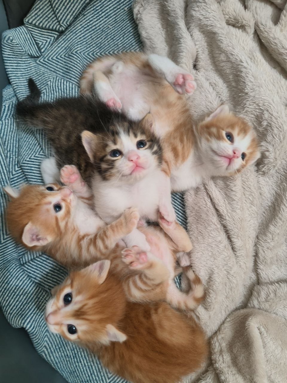 5996846605736283820