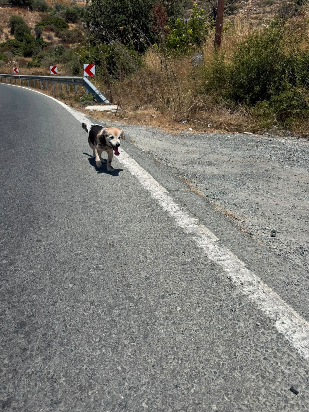 IMG-20260730-WA0002