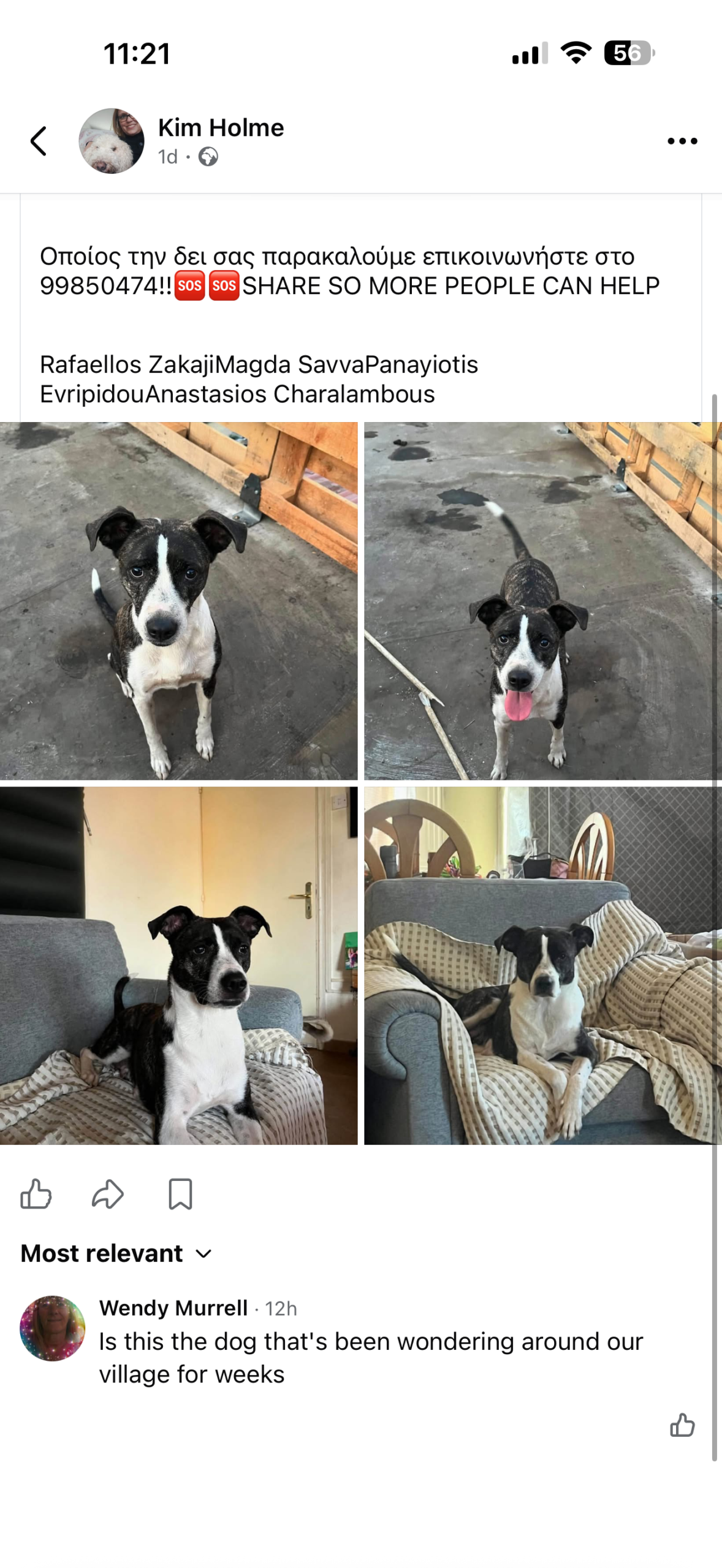 IMG_0152